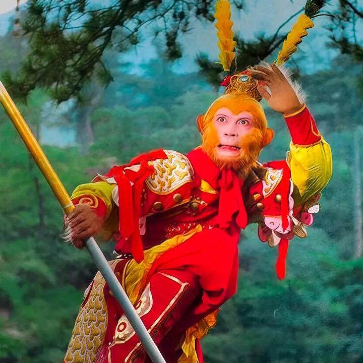 叮当分享手机壳