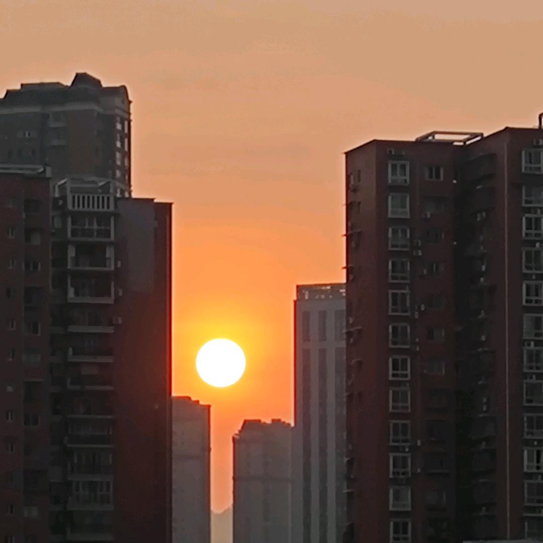 金铲铲之战八音盒