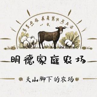 🎋天青色.