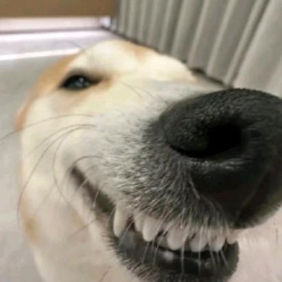 Cgman