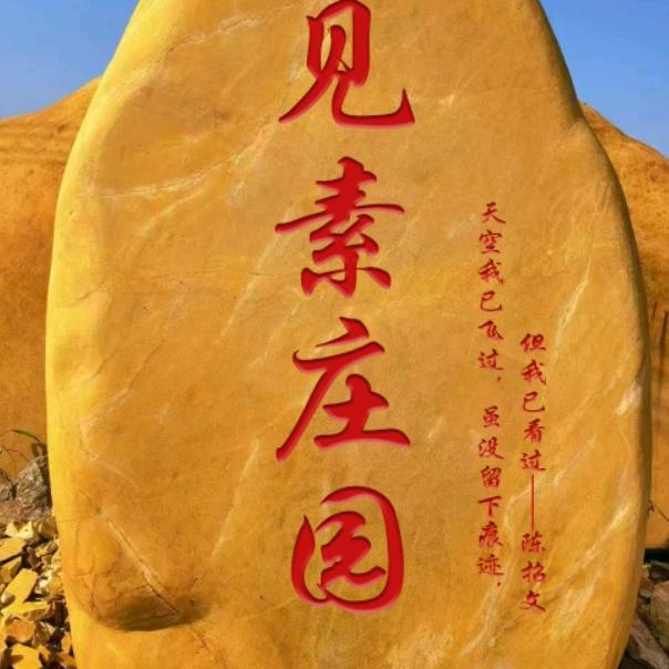 见素