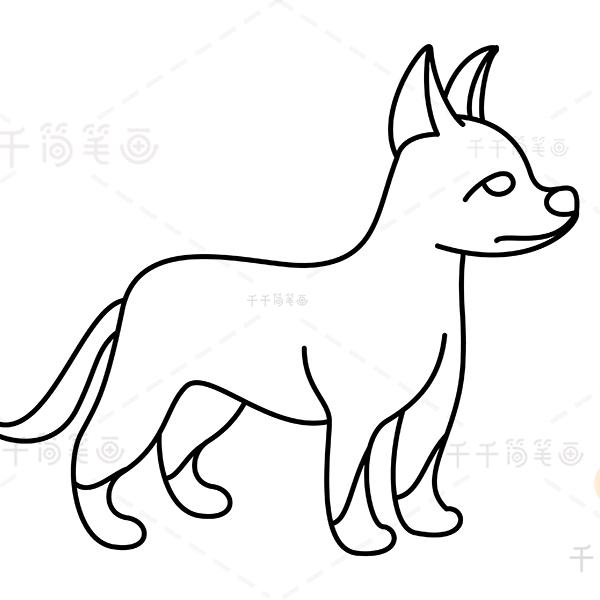 一条大狼狗！！！