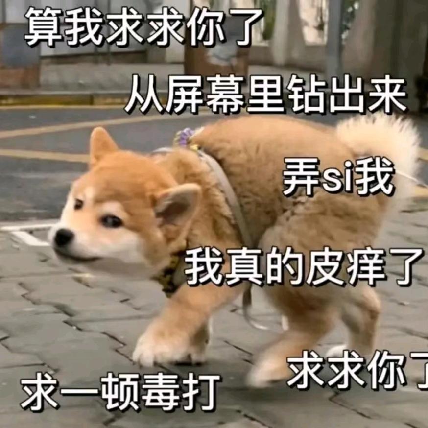权阀教父猛抽名媛嫩脸
