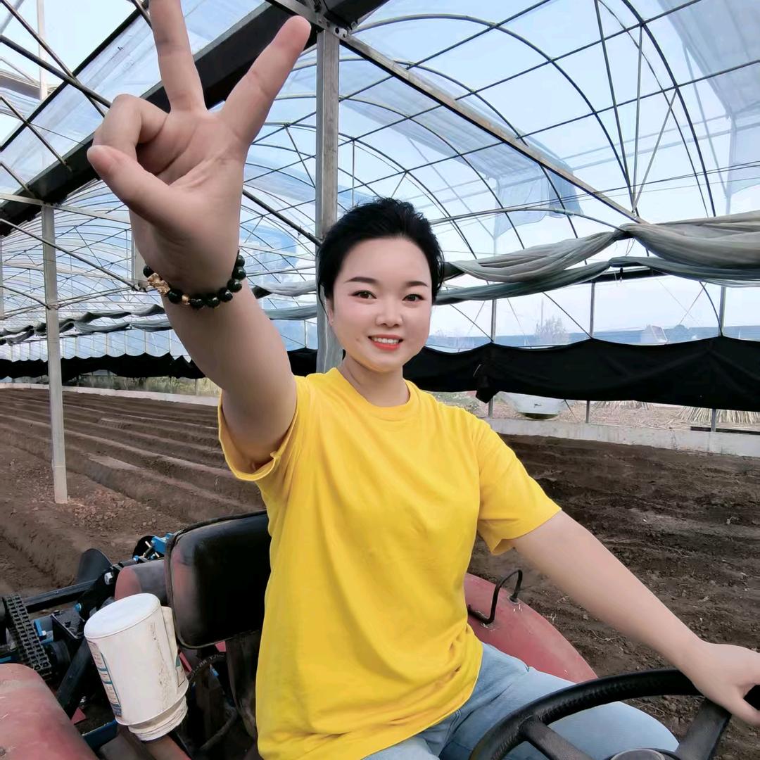 小诸葛～蔬菜种植管理