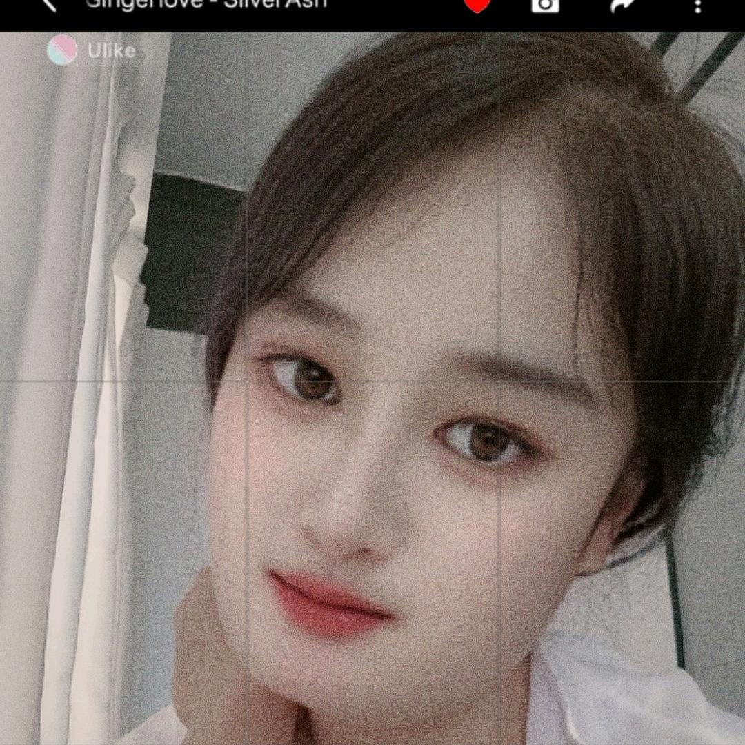 🌸 孤独与酒，倾城泪