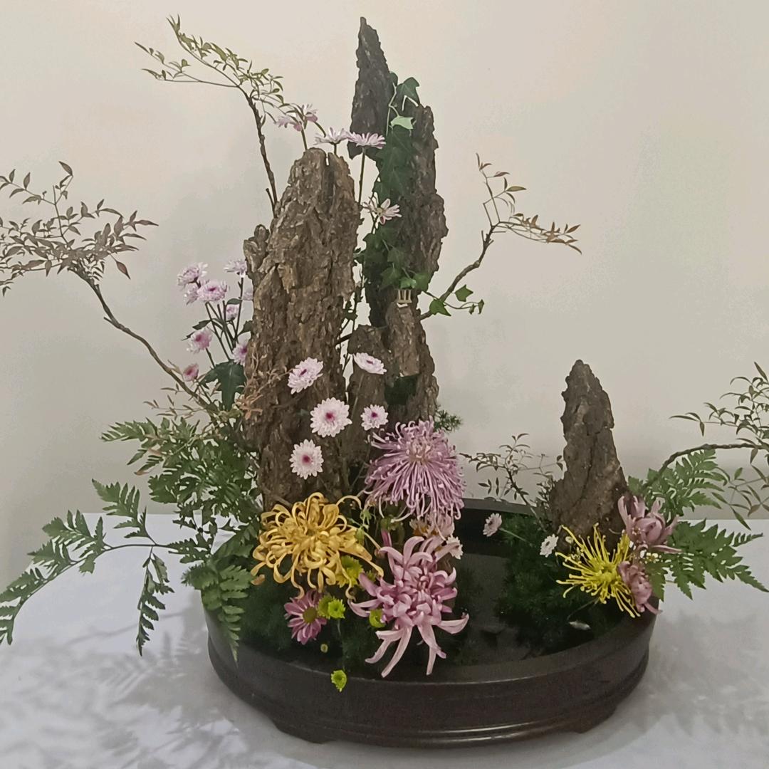 豫东杰哥