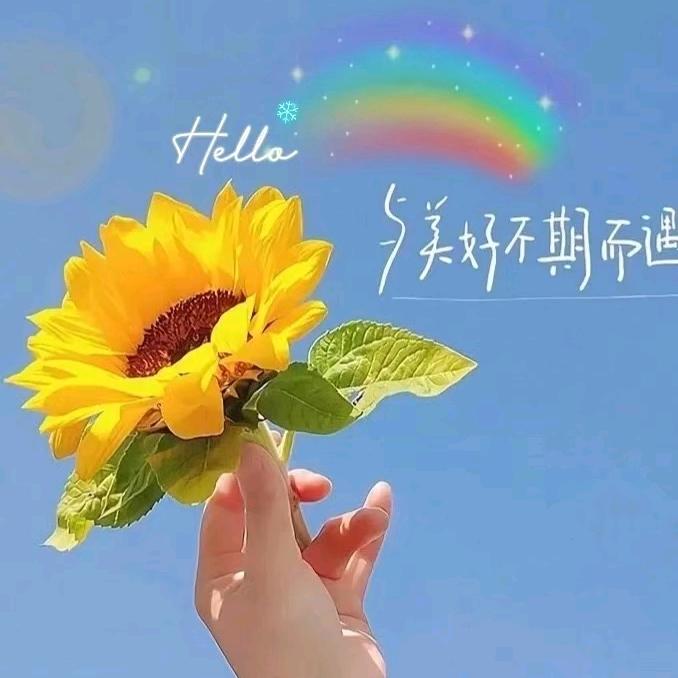 小财迷🌈