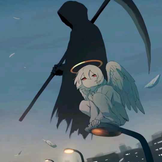 一夜知秋
