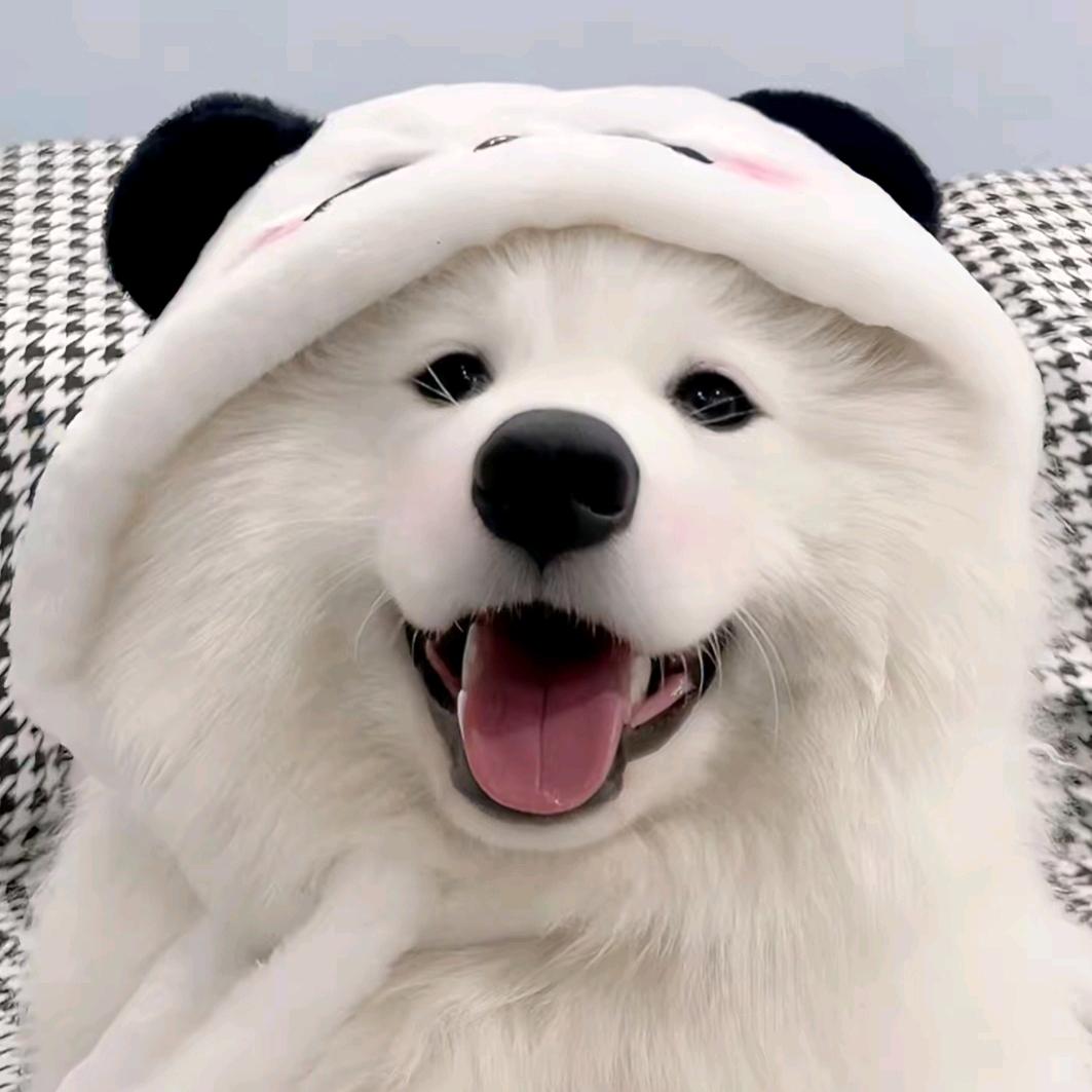 fortune张书垚