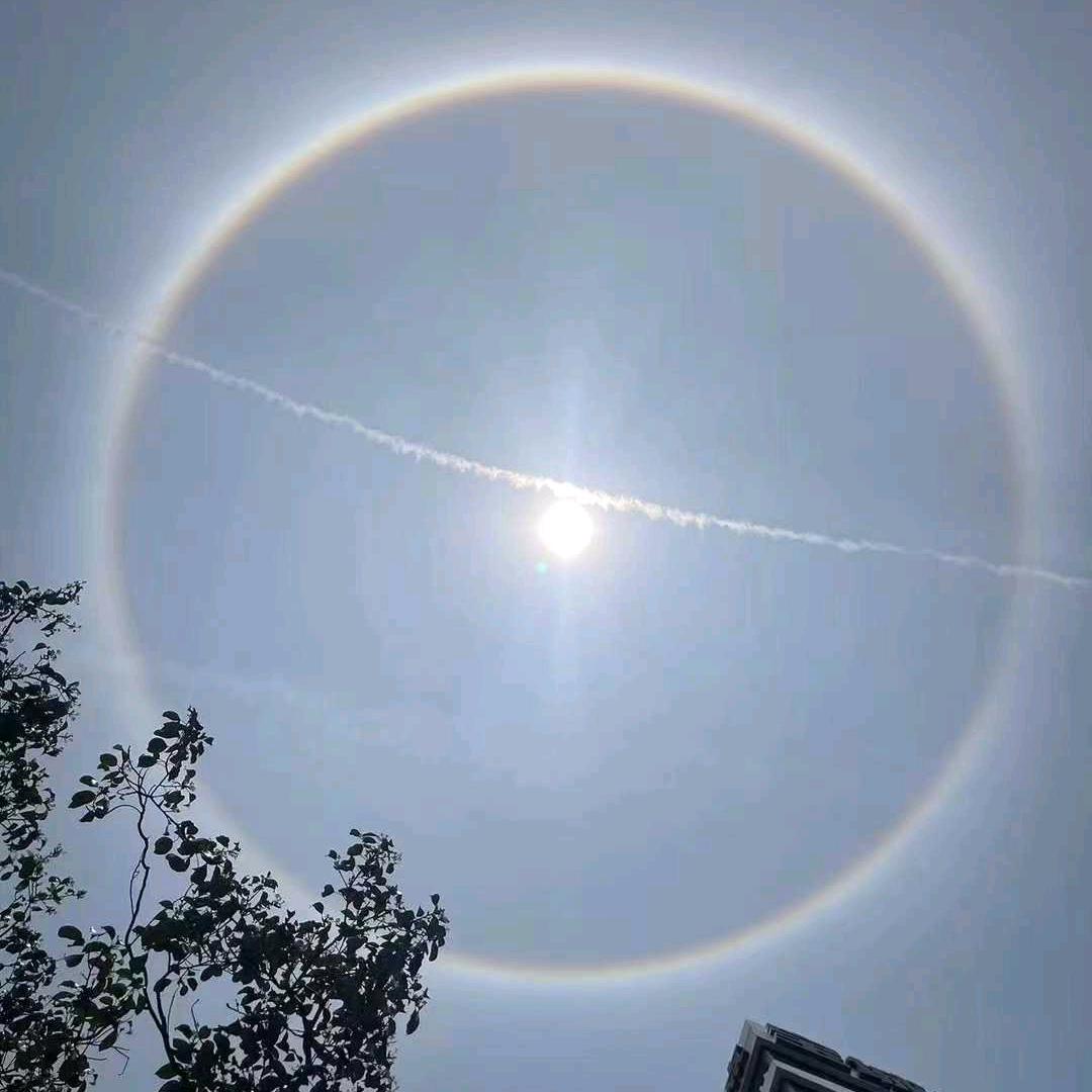酒来