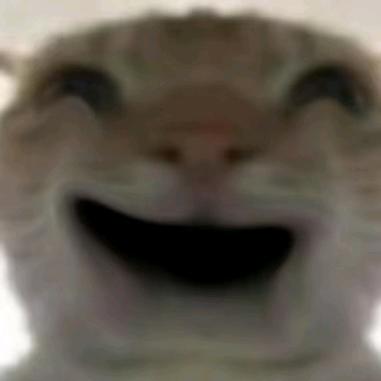 安浅（乱玩版）