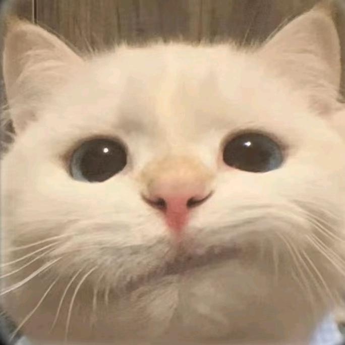 马可（雪乡霍建华）