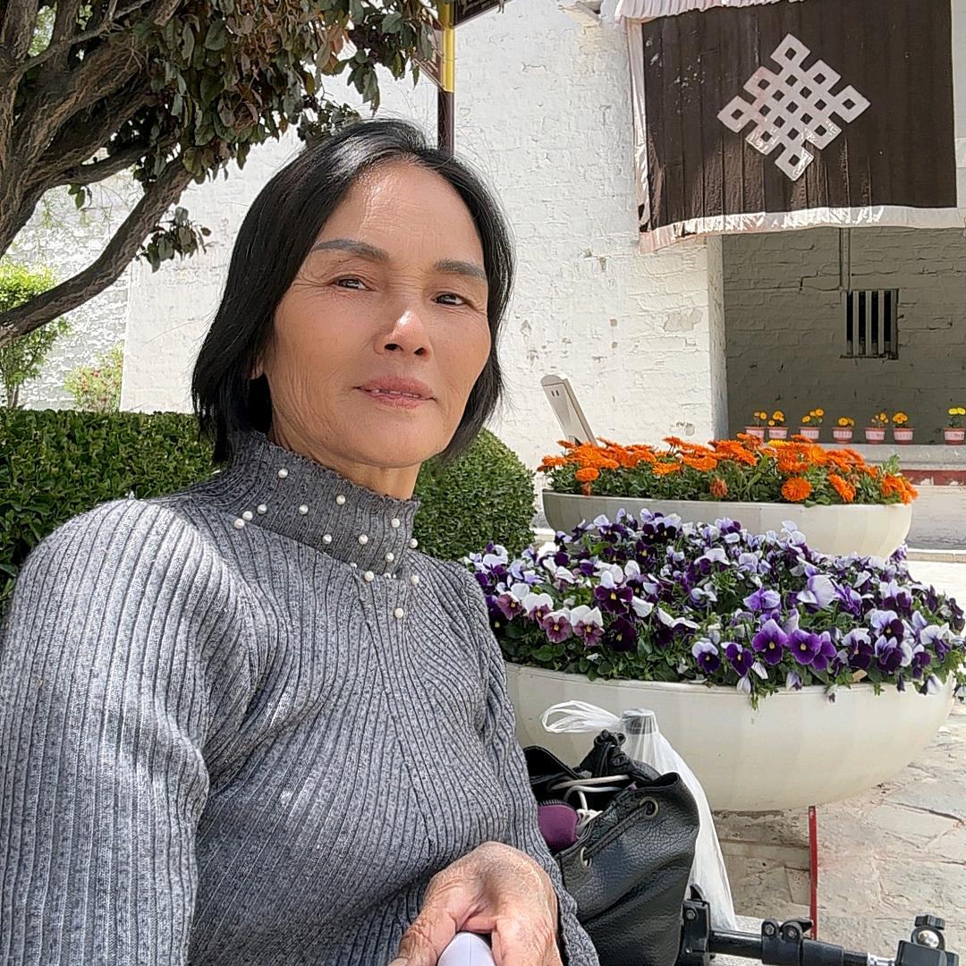 芬姐( 流浪天涯)