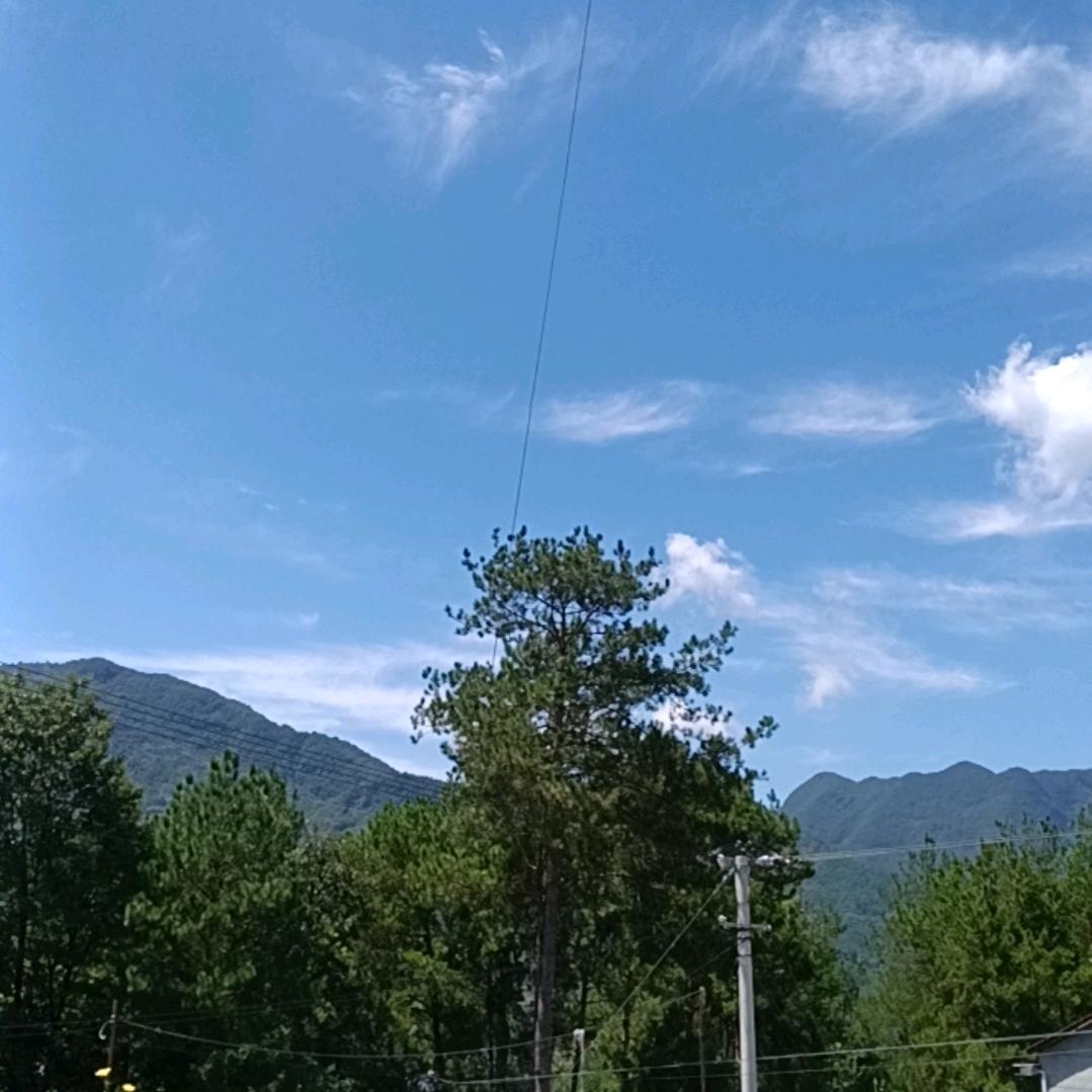 秀