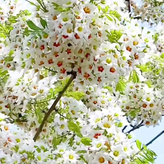 沉重的伤感