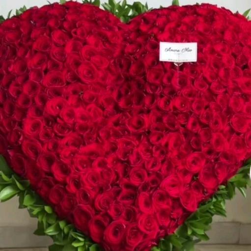 🌹燕🌹🐰🐰🐰