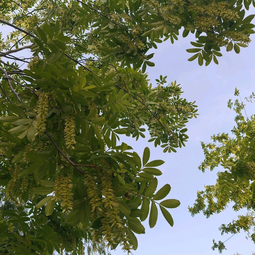 重生之未来可期