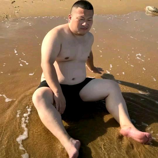 🐻浪漫红尘缘🐻