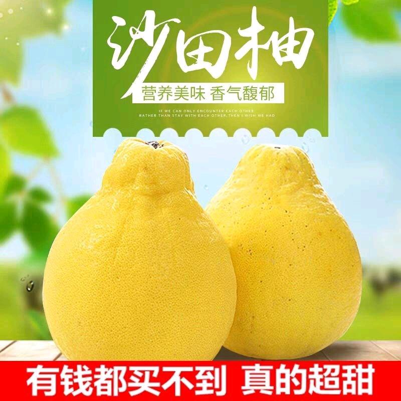正宗梅州隆文纯甜金柚