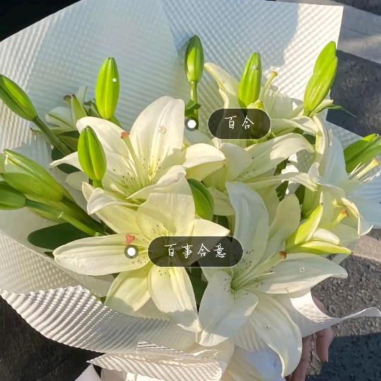 婚姻家庭