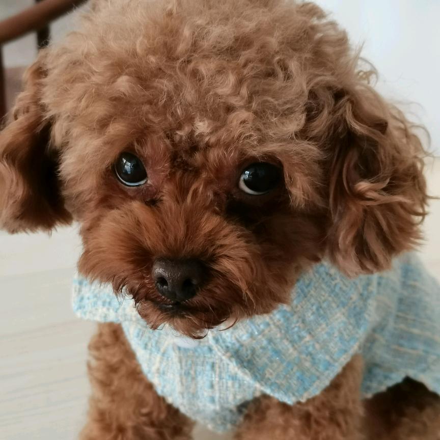 小老头