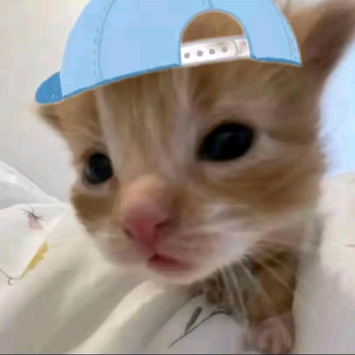 WUYU