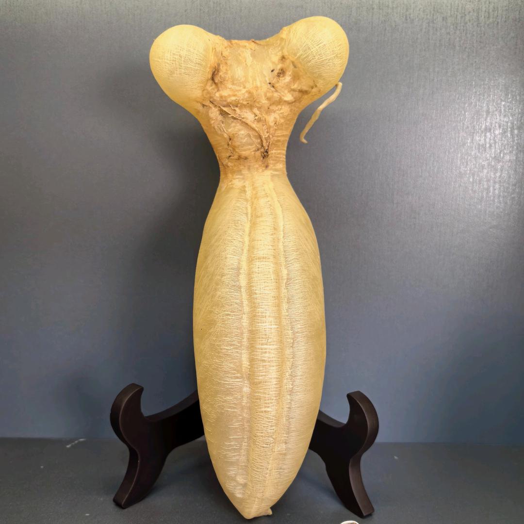 万顺臻品