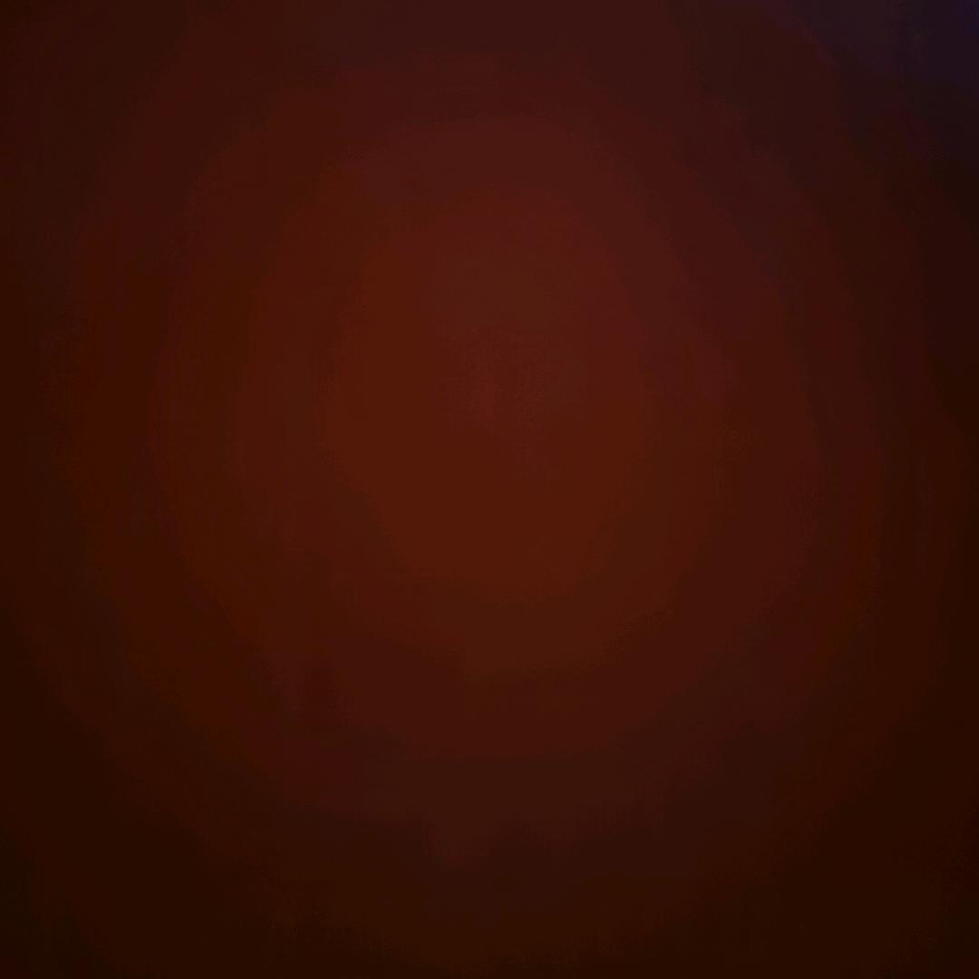 老白