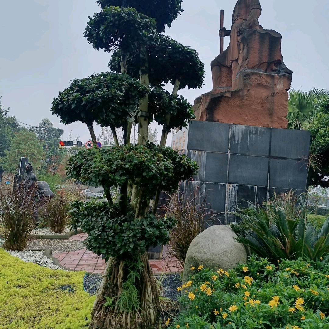 冂、吉·仲文🐒