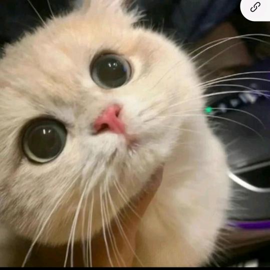 🦹¹ᶟ₁₄苏到王心里🦹¹ᶟ₁₄