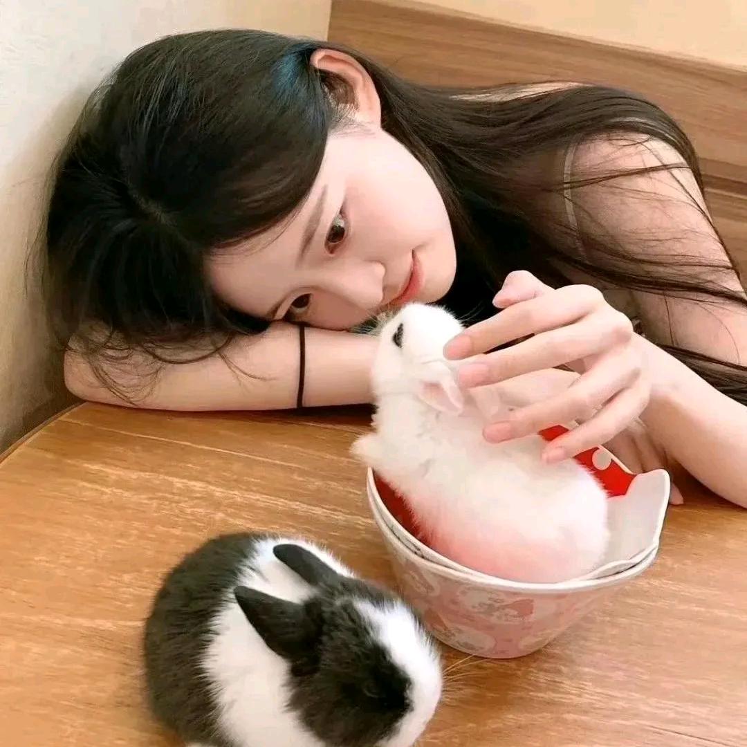 双双的日常生活