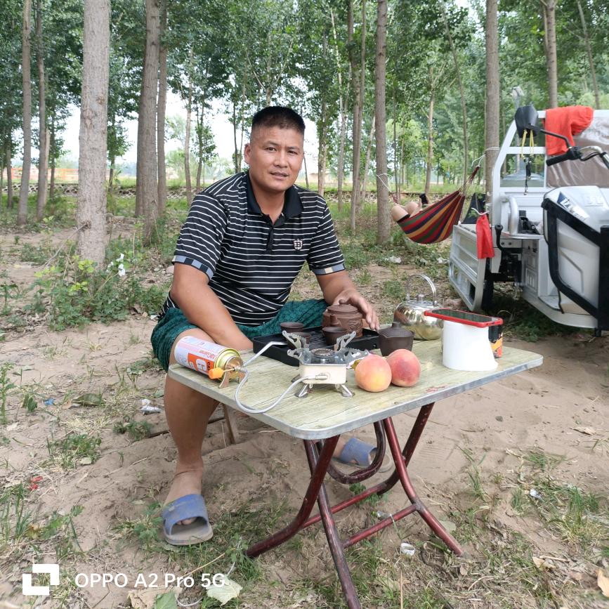 阳哥的故事