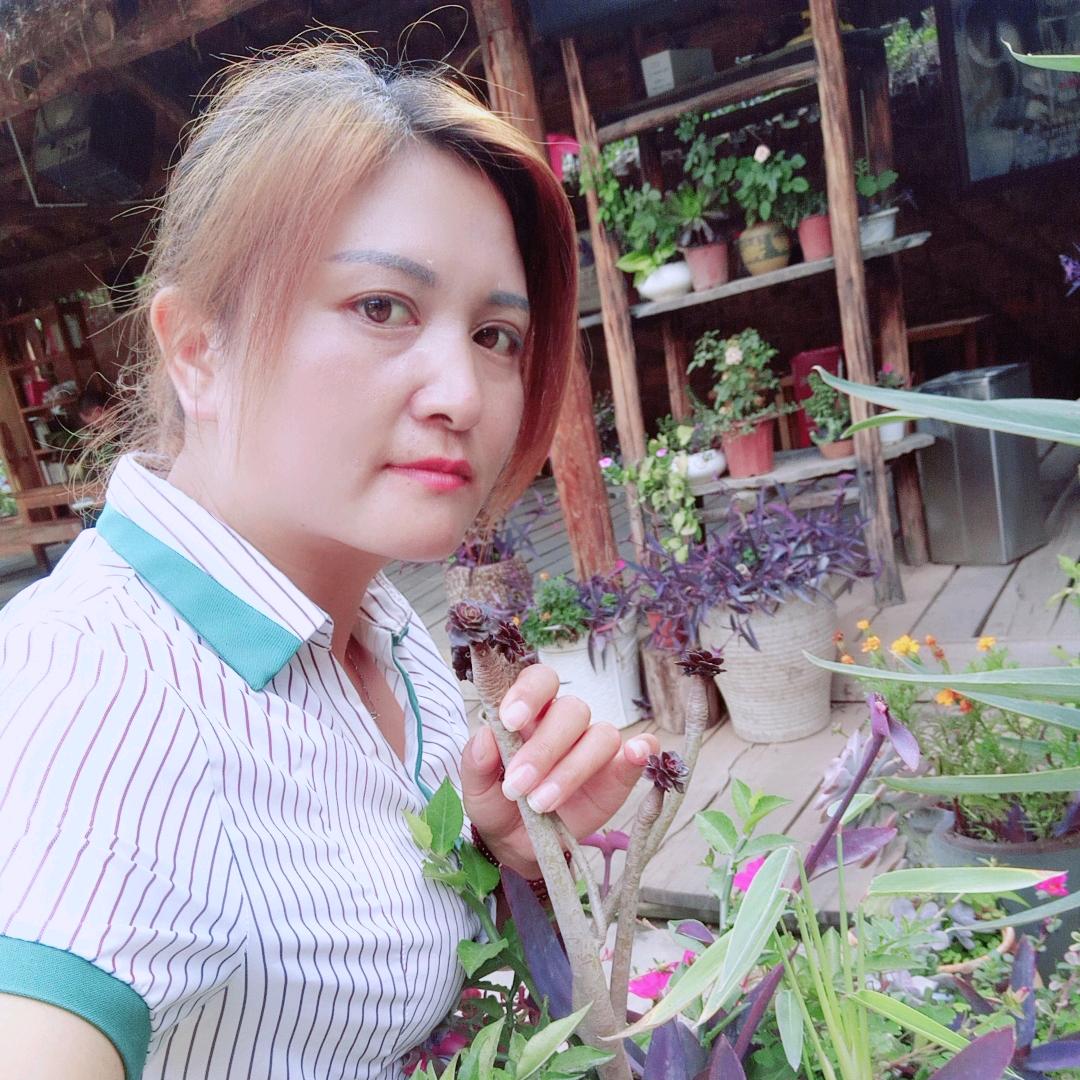 东川山歌放羊妹