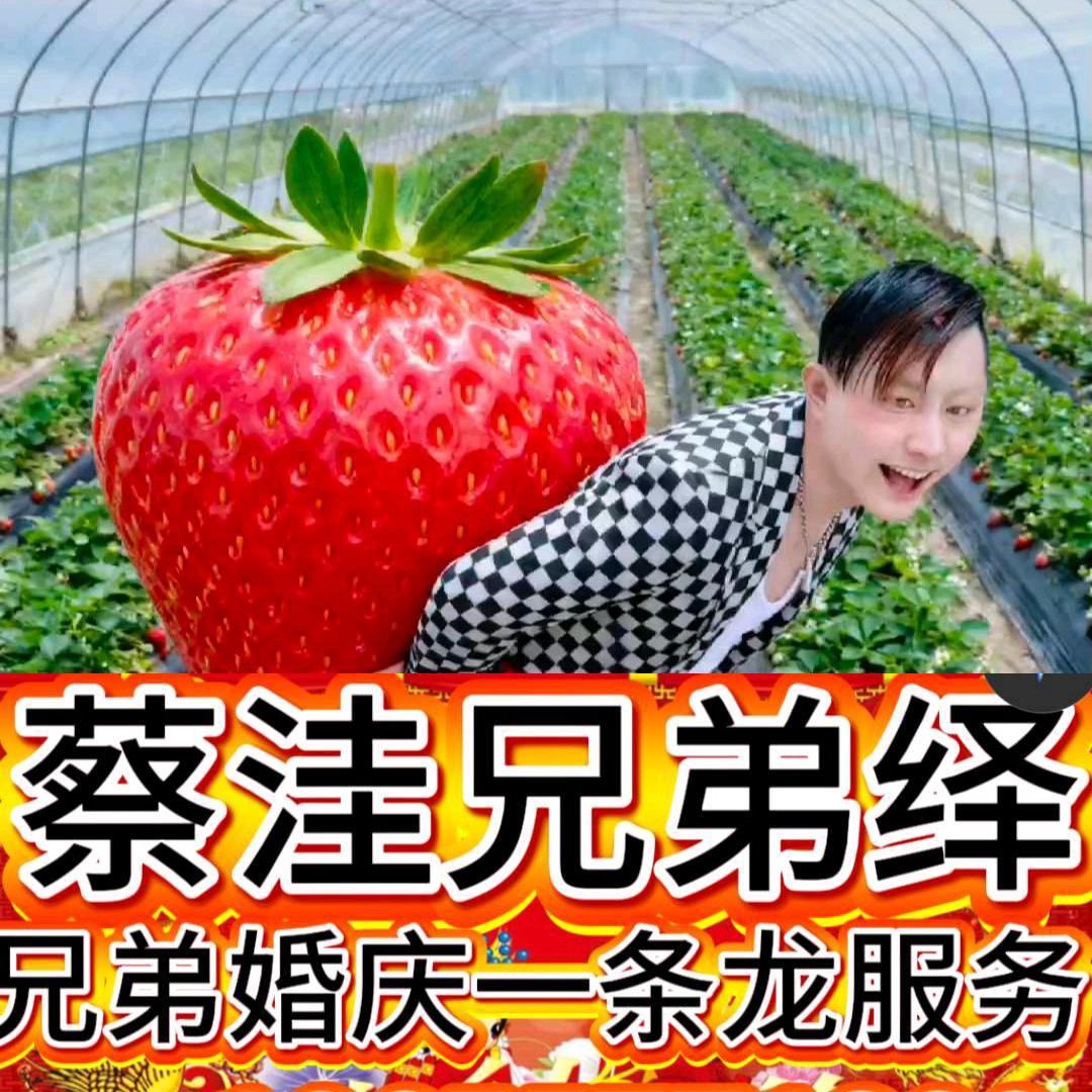 蔡洼兄弟演绎