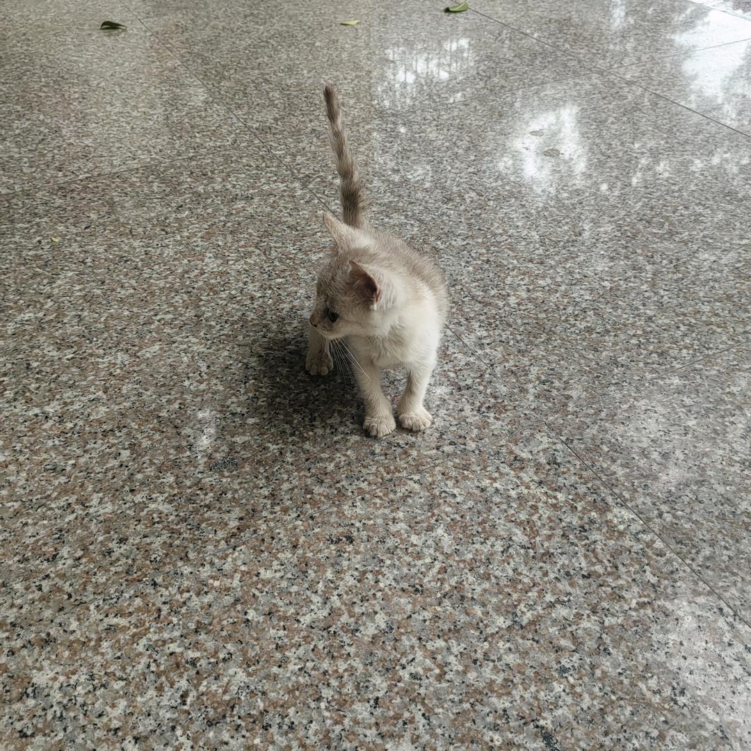 昨天我没醉