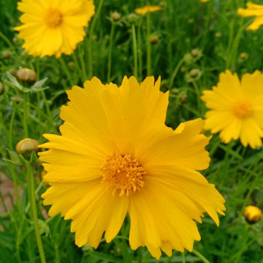 淑红姐爱唱歌 🥰