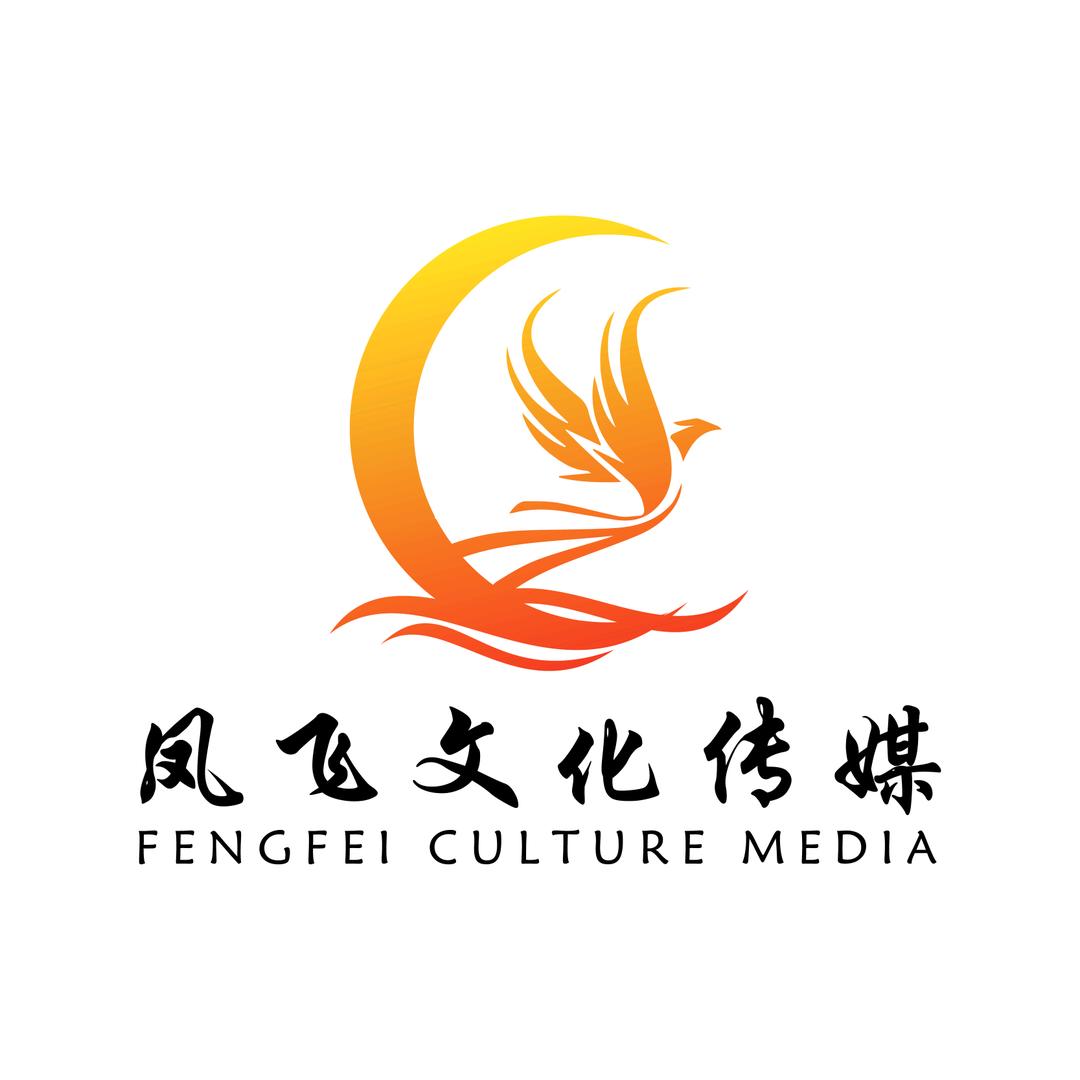 凤飞文化传媒[996]团队·飞哥