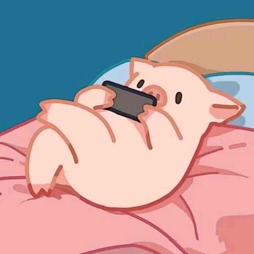 豆豆（我是猪猪）