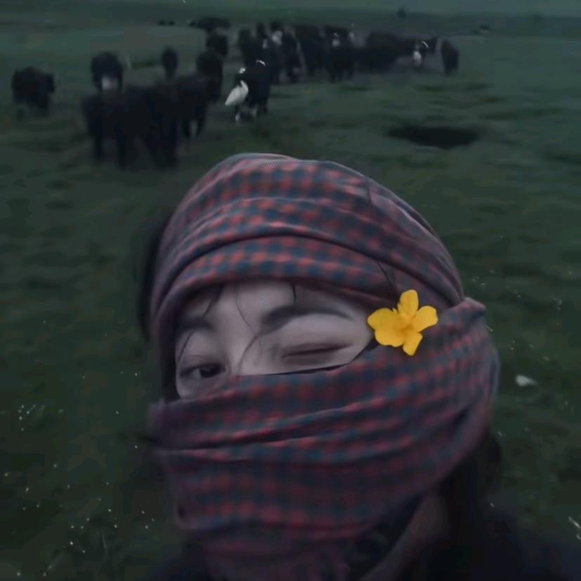 @海.: ♥̶̶̶̶ོོ͜无̶̶ོ味̶