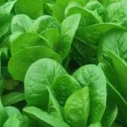 唐唐谢谢你关注