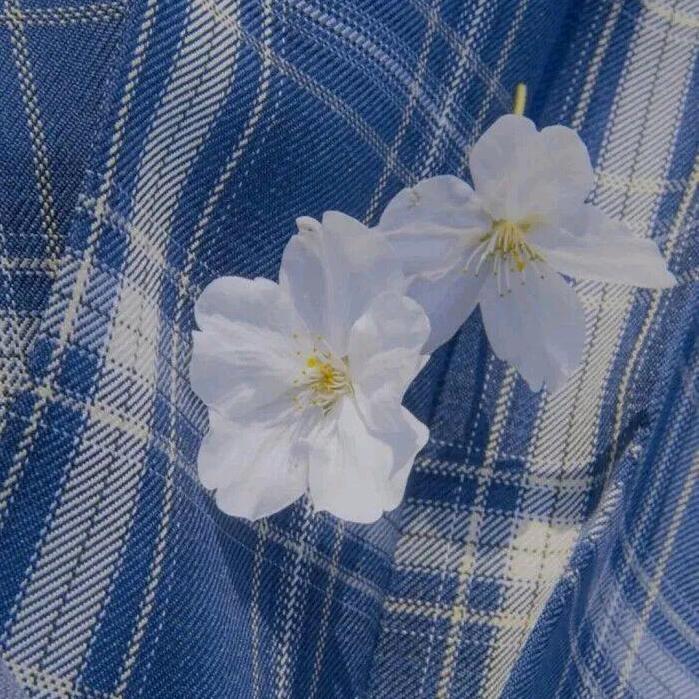 ૮ ´͈ ᗜ `͈ ა♡