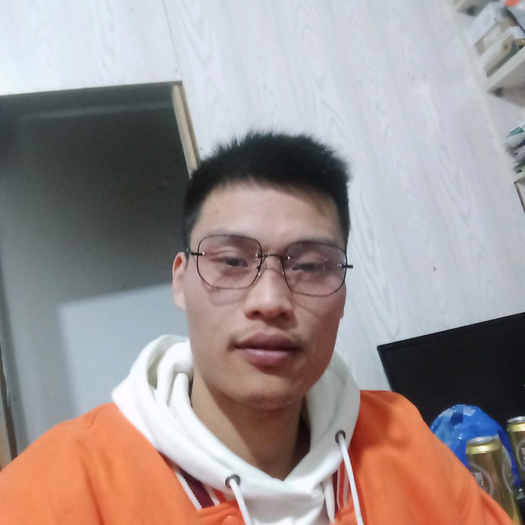 专业贴砖