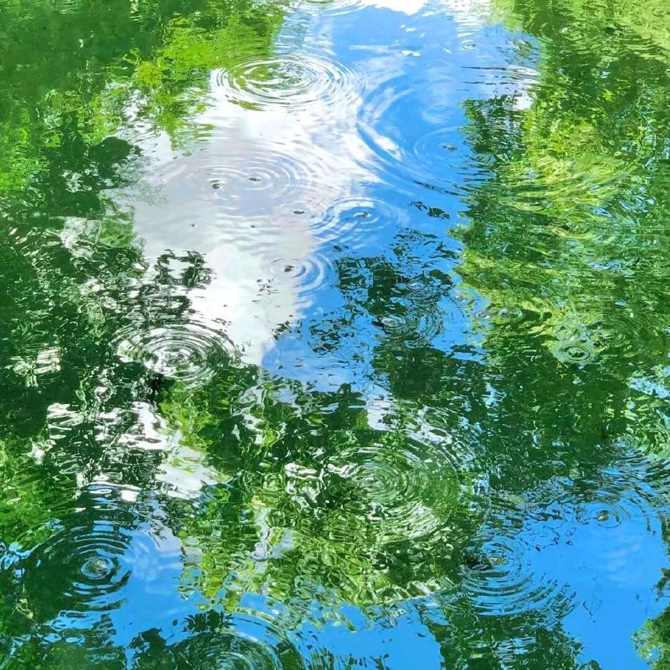 扶老奶奶闯红灯