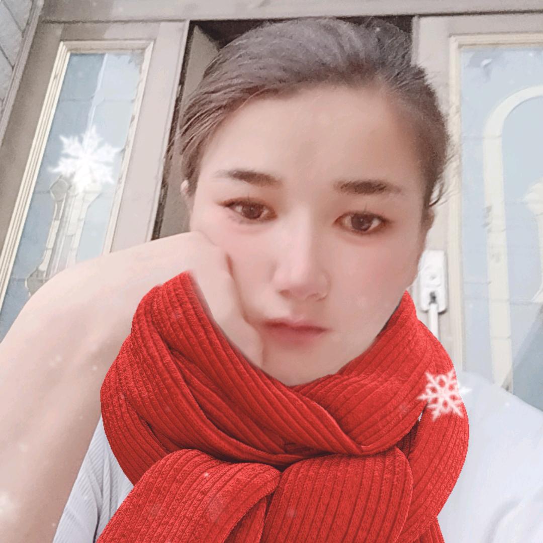 小鸽子飞飞523