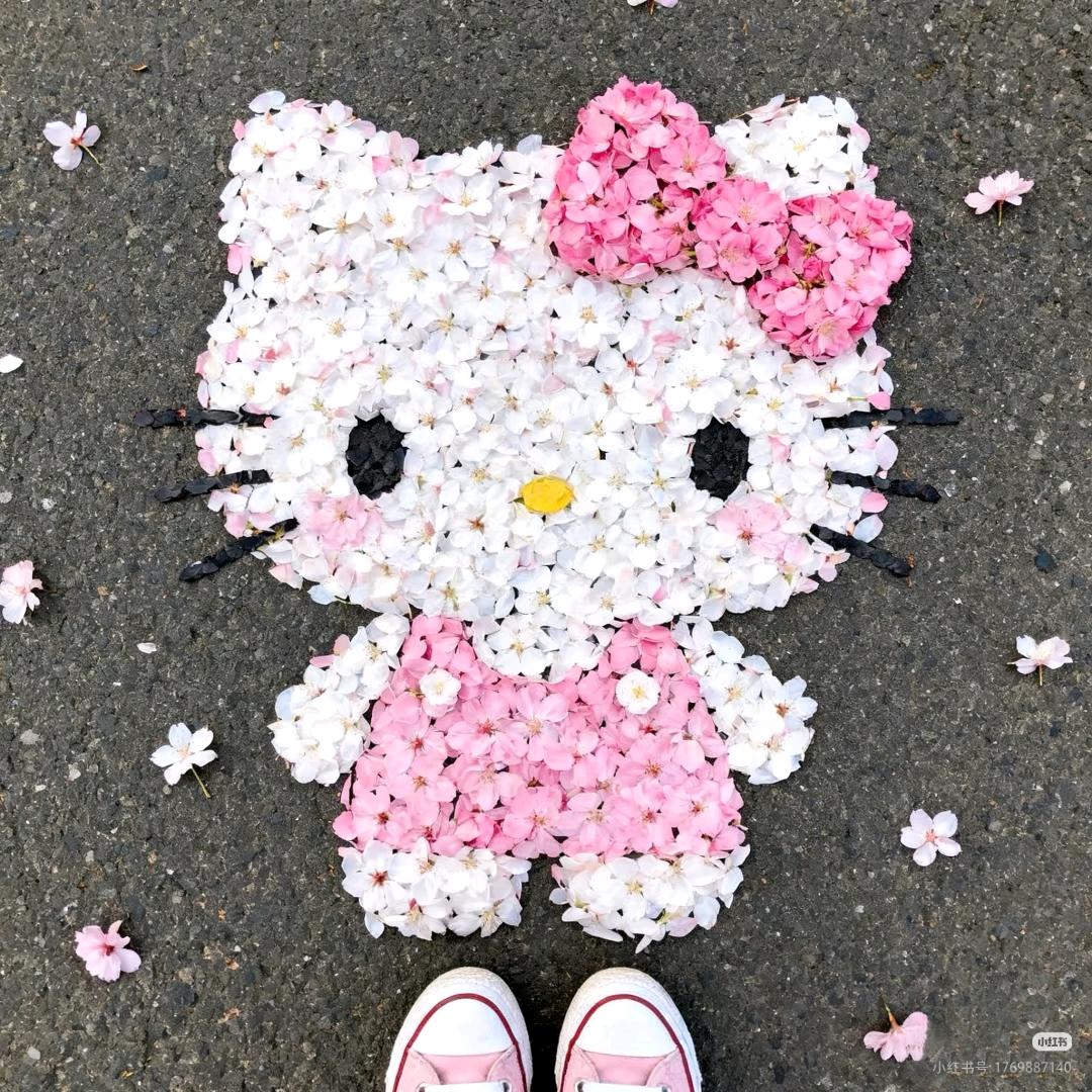猫的梨涡♡