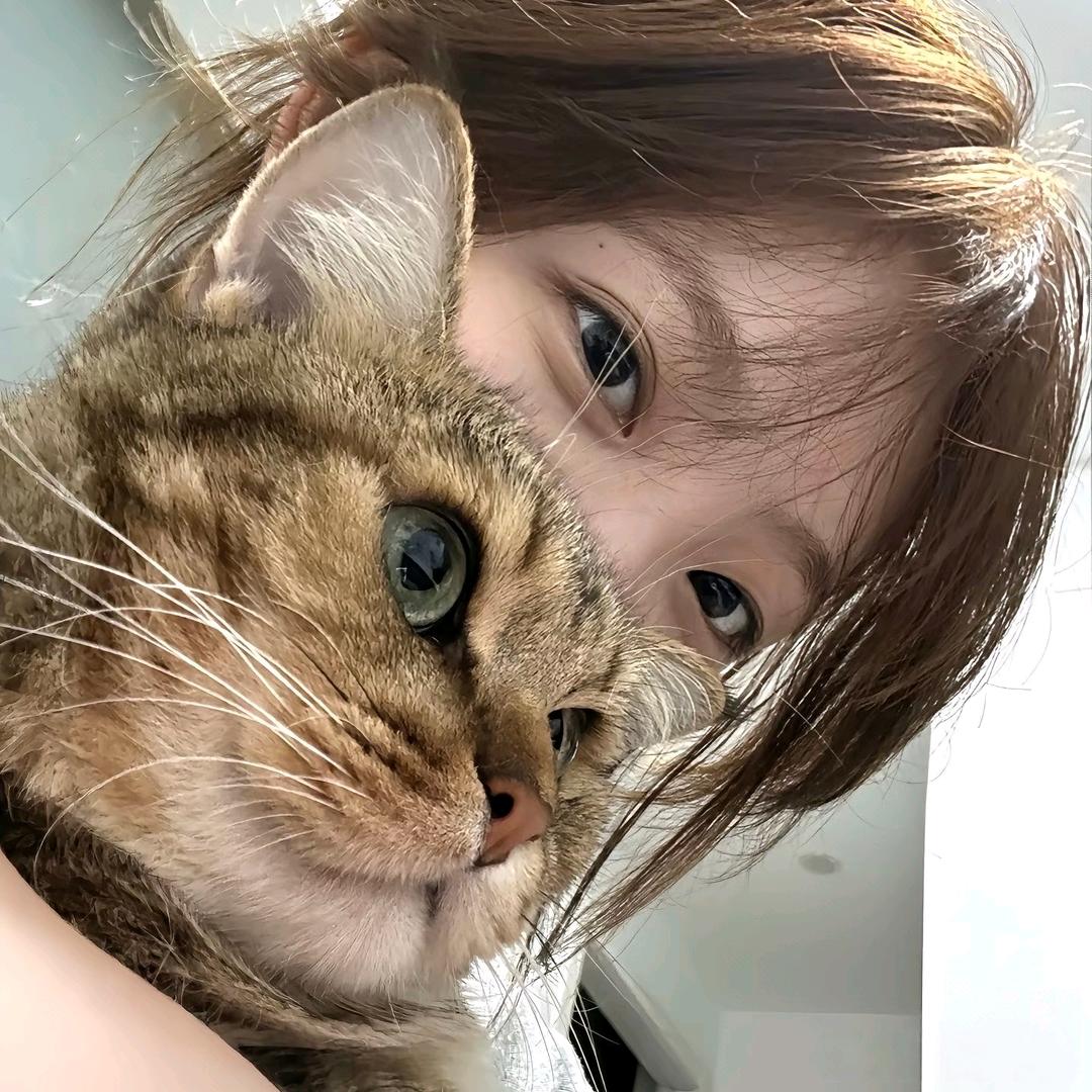 来爱你