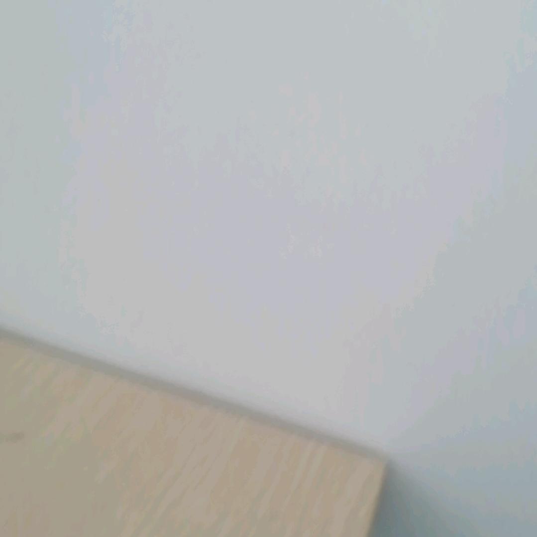 lose