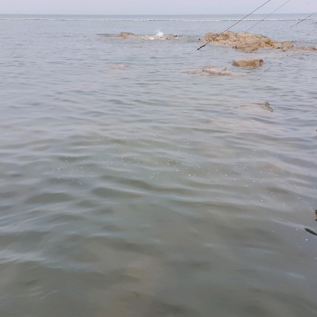 简单生活