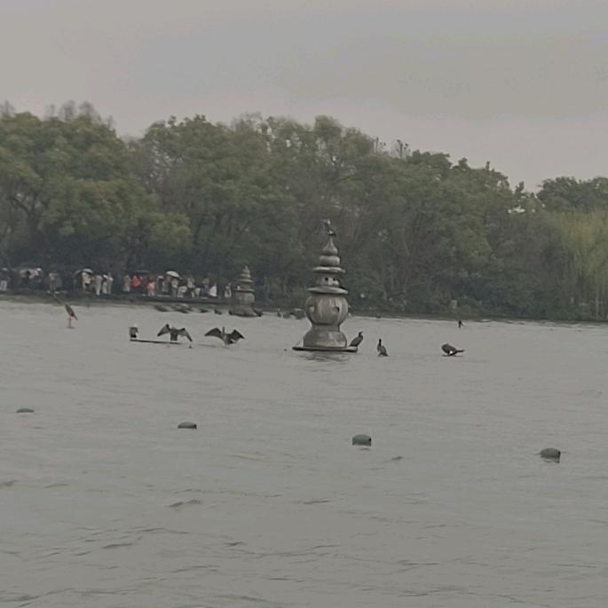 新垚皇家油面销售员