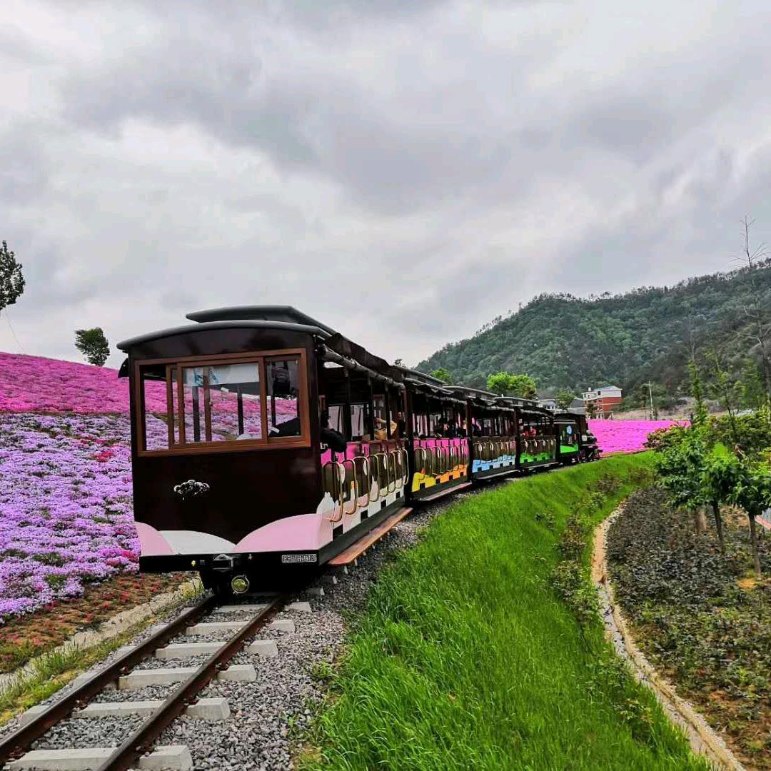 🍀🍁一匹天涯马🍀🍁